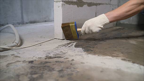 SJ Waterproofing Pros Basement Waterproofing coverage map for Primm Springs, TN and surrounding area